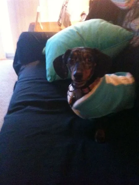 Roxy