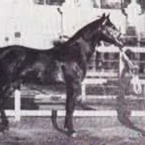 El Zafir