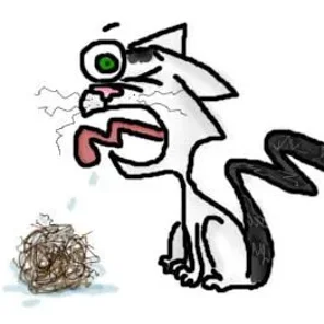 Hairballs