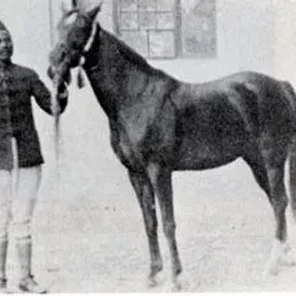 NADRA EL SAGHIRA