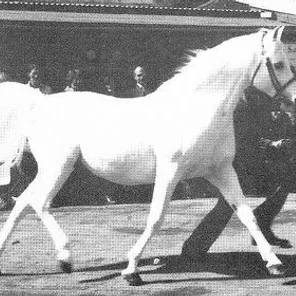 White Lightning