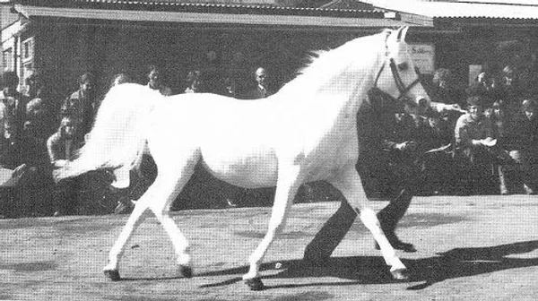 White Lightning