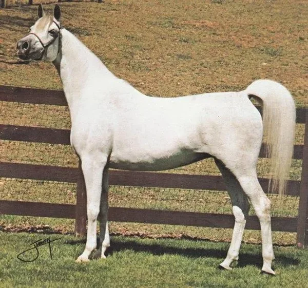 *Espada