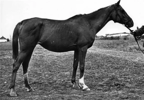 NERPA IV