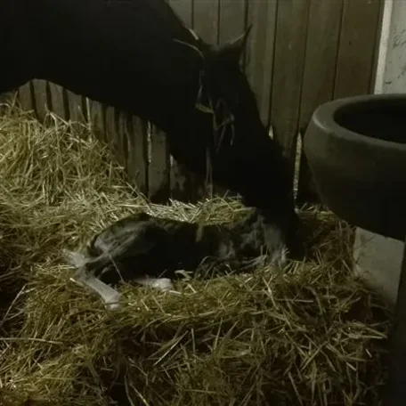 Just born