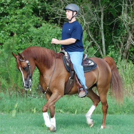 Lourdes sired by Wolf and out of the very beautiful Belmar.