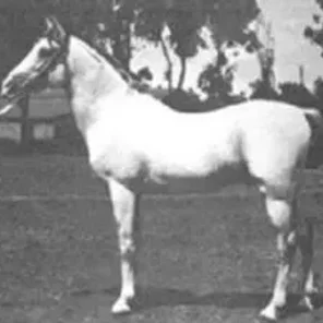BAIYAD