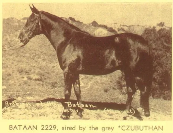 Bataan