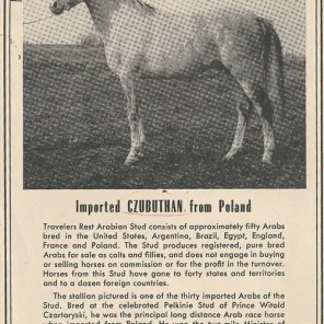 Czubuthan