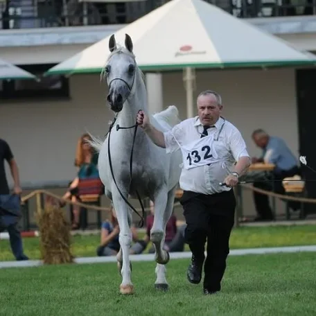 Jeff Wallace with Zagrobla a few minutes after she was named 2003 US National Champion Mare. Shown by Michael Byatt.