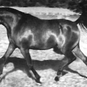 Kisronna