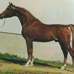 AL FATTAH
