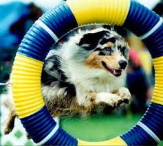 Agility Part 1