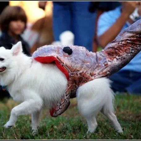 I saw your discussion and found this cut image of a dog snake bitten costume…not that this is not a serious matter but thought it would be fun to add to the mix!