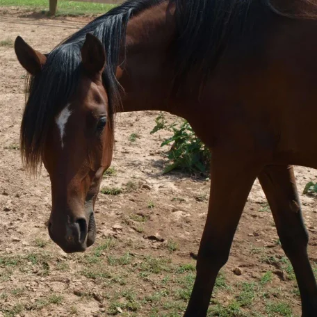 Mud saying hi.