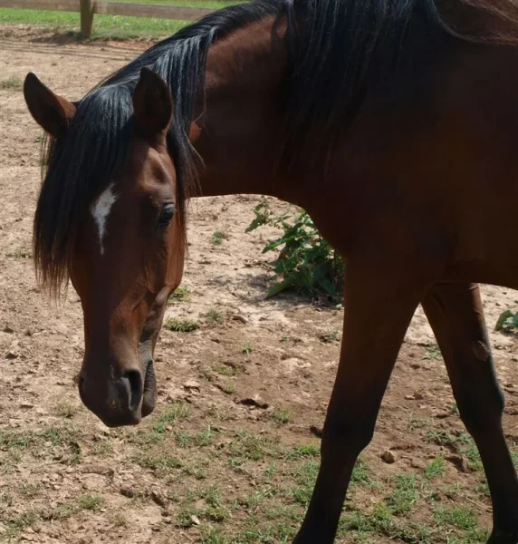 Mud saying hi.
