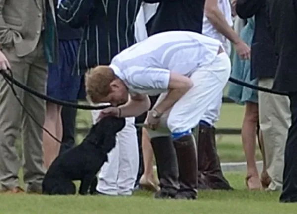 Royal, England, Elizabeth, King Charles the second, Price Robert, Prince William, Catherine (Kate) Middleton