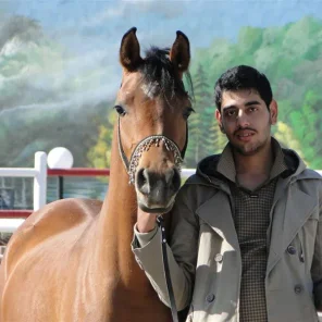 Mahdi Harandi