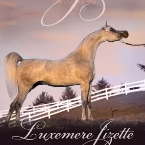 Luxemere Jizette