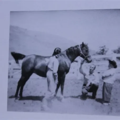 Nafa (Raseyn x Narasa) bay mare, foaled September 11, 1937bred by W.K. Kellogg Institute
