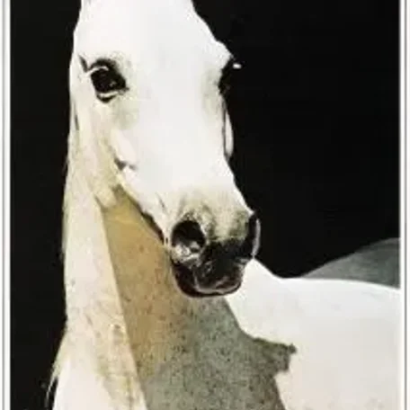 Naina