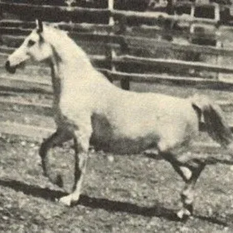 *CORSAIR