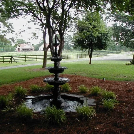 Luxemere botanical tour