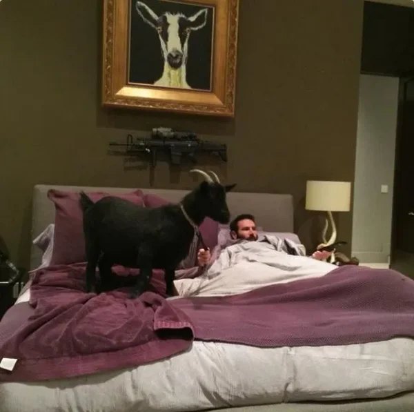 Dan Bilzerian - His Goats and Cat - Who'd Have Guessed