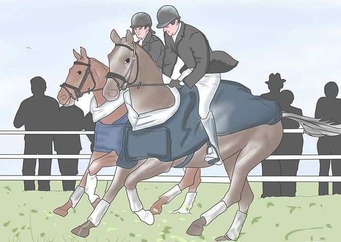 Choosing a Riding Style or Equestrian Discipline - Pt 2