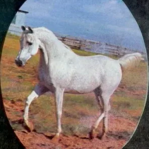 ANSATA IBN SUDAN