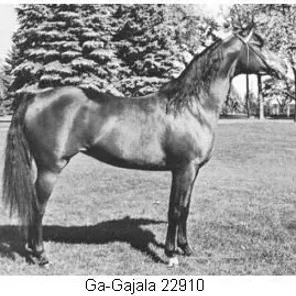 Ga-Gajala