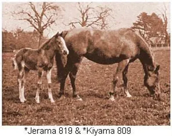 Kiyama