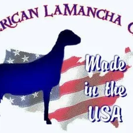 American LaMancha Goats