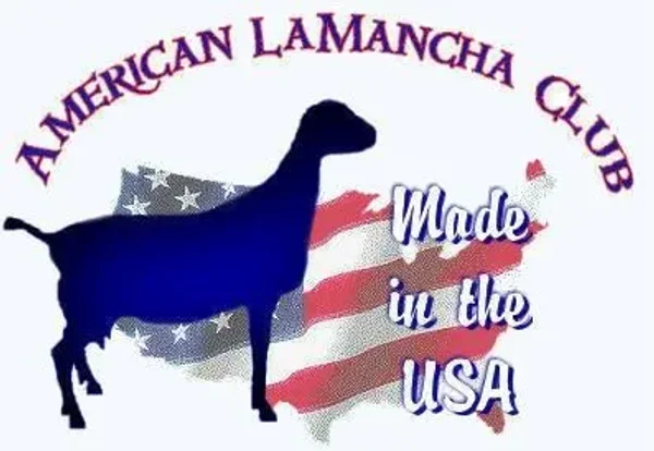 American LaMancha Goats