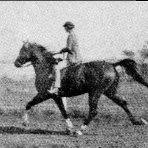 BAZLEYD