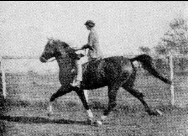 BAZLEYD