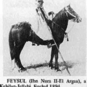 FEYSUL