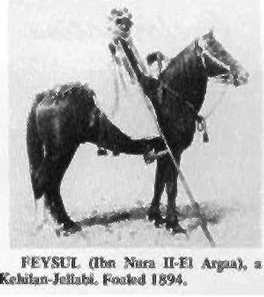 FEYSUL