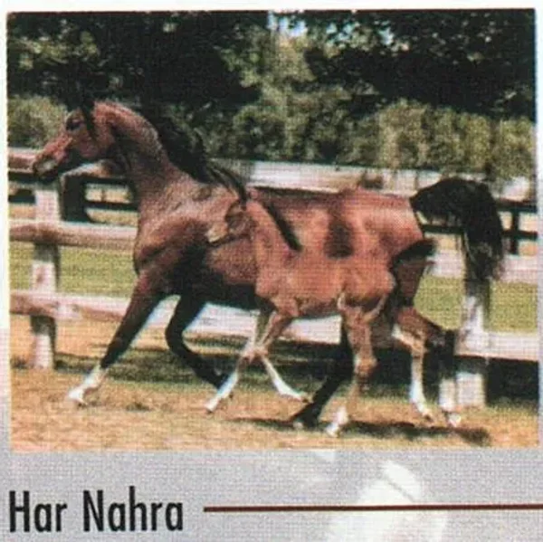 Har Nahra