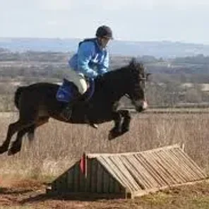 Exmoor