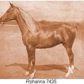 ROHANNA