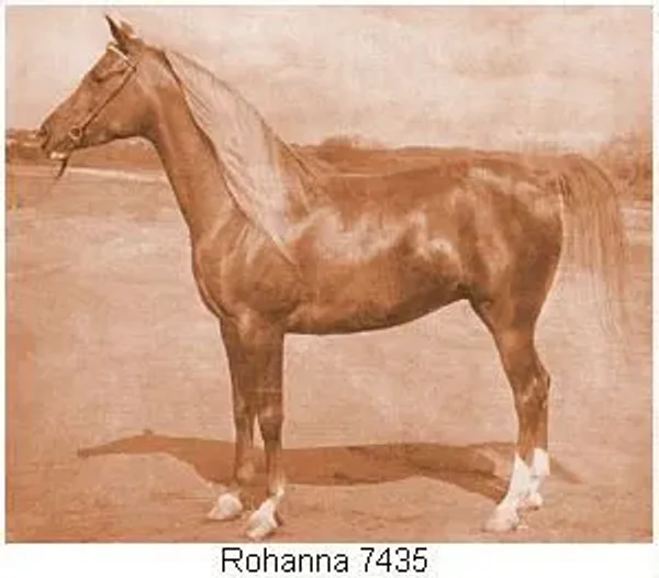 ROHANNA