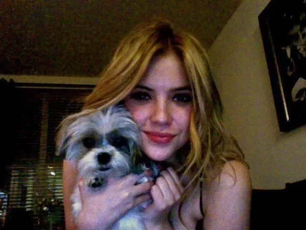 Ashley Benson 
Pet Name: Olive
Breed: Maltese Shih Tzu
Ian Harding
Pet Names: Bailey and Mochi 
Breed: Labradoodle
Trivia: He adopted them through the Adopt LA and Dogs 
Keegan Allen 
Pet Name: Minin 
Breed: Burmese cat 
Lucy Hale 
Pet Name: Ja