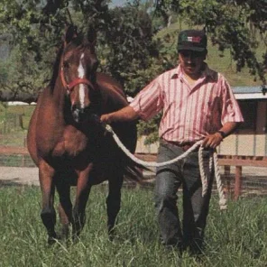 Alegoria