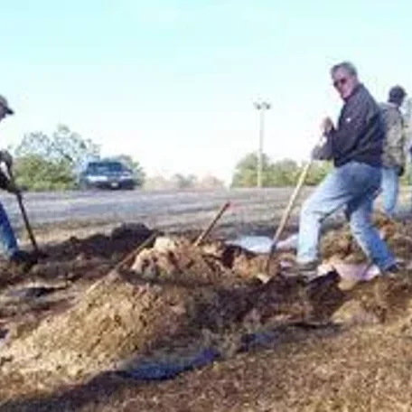 Earthdog