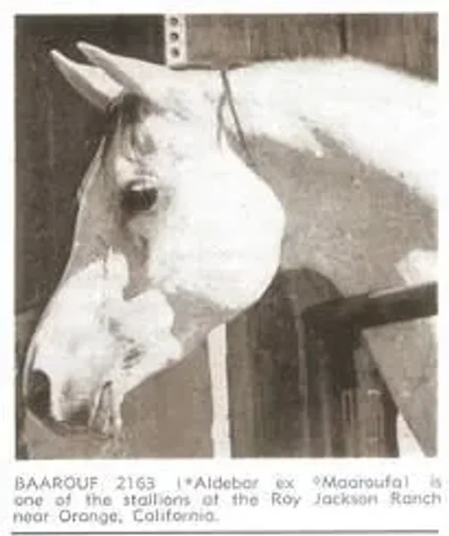 BAAROUF