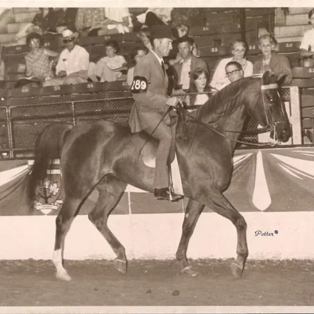 Carinosa ridden by Chuck Kibler
