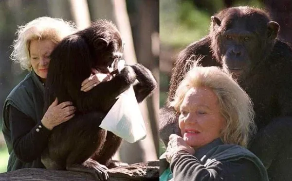 You will find it hard to believe that there are a good number of animals that are depressingly better off than you and half of the world’s population will ever be. Here’s a look at ten of the world’s richest pets