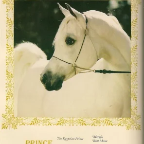 Prince Fa Moniet