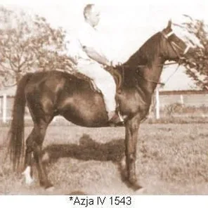 *AZJA IV